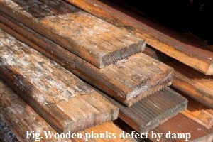 Image showing dampness on wood